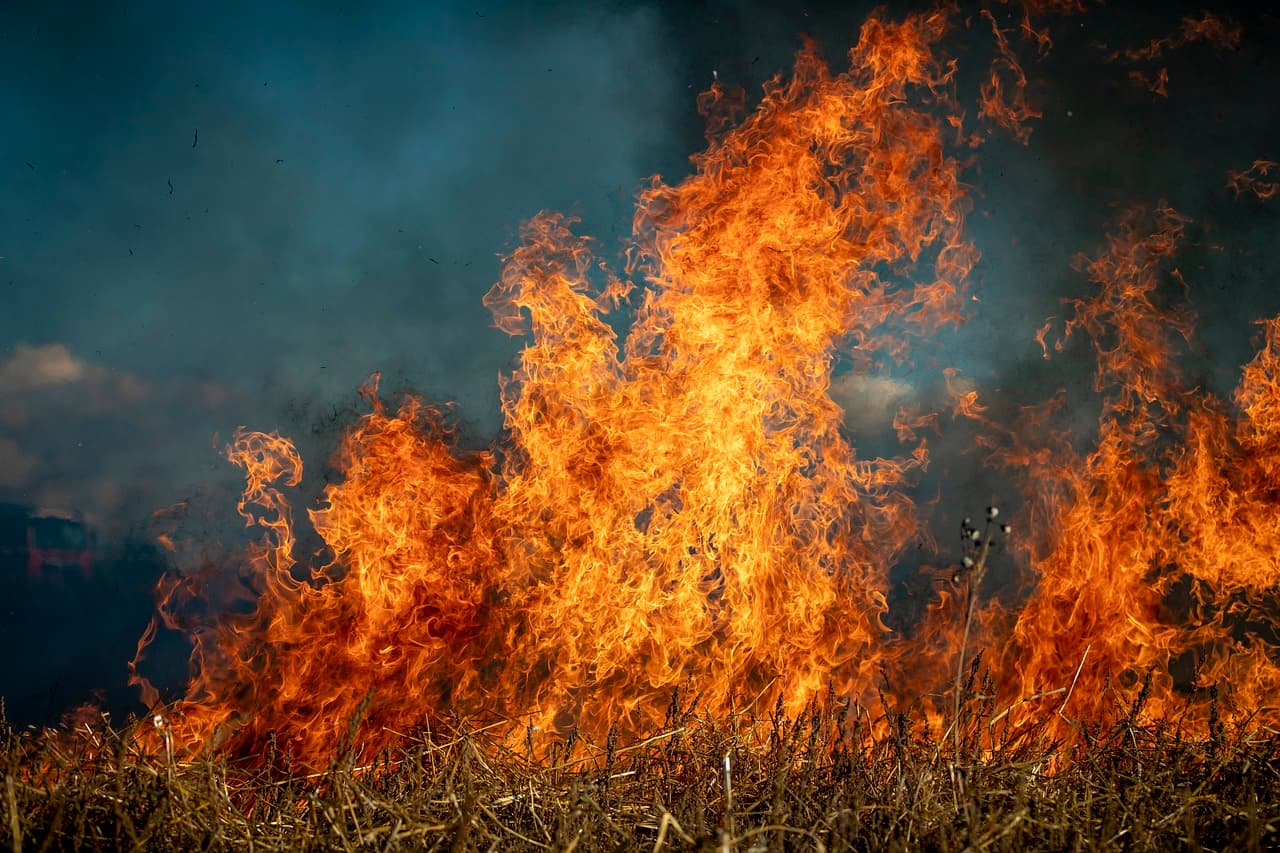 Wildfires Burn Over Half A Million Acres In Utah In 2026