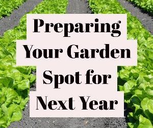 Let's talk for a minute about preparing your garden spot for next year. . .