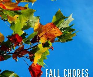 Let's talk for as minute about last minute fall chores. .