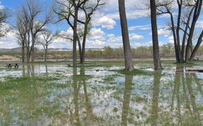 Green River Flooding 10-Day Forecast Predicts Critical Levels By Thursday