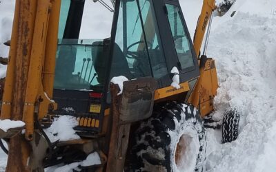 Have You Seen This Missing Backhoe Out Of The Fruitland Area?