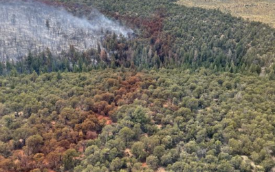 Monument Fire Burning in the Book Cliffs 