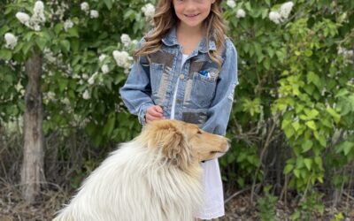 All Dogs Welcome At Uintah County Fair Dog Show