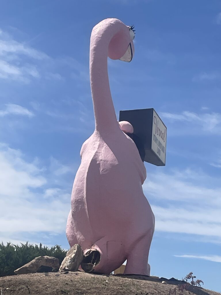 Dinah The Pink Dinosaur Missing Tail After Being Hit By Vehicle Basin Now