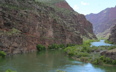 Fatality in Rafting Accident On Green River Canyon Of Lodore