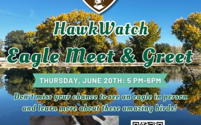 Hawkwatch International Participating In Roosevelt Nature Park Grand Opening 