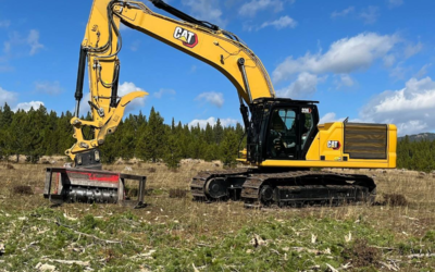 Red Cloud Loop Road Fuel Break Project Underway