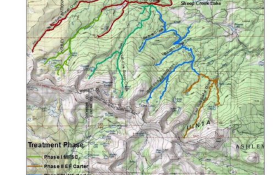 Rotenone Treatment Starts Today Within Carter And Sheep Creek Drainages