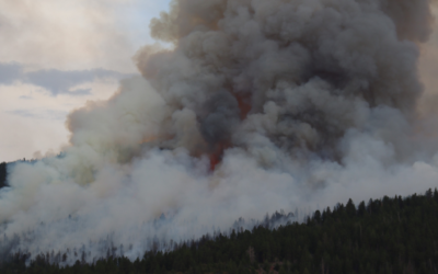 Closures Reinstated For Road And Trails Near Speirs Fire