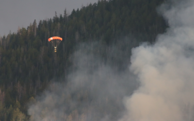 Speirs Wildfire Near Flaming Gorge Over 500 Acres 