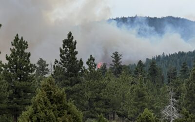 Speirs Fire Burning Near Flaming Gorge In Daggett County