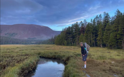 DWR: Tips For Stream Fishing In High Uintas