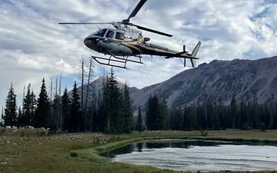 Search and Rescue Locate 14-Year-Old Lost In Uintas