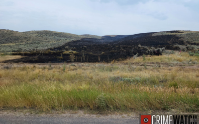 Crews Continue Efforts On Big Gulch Fire In Moffat County