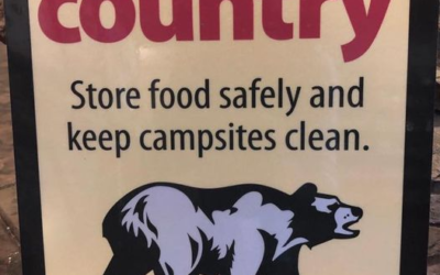 Browne Lake Campground Closure Due to Bear Activity