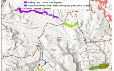 Ashley National Forest Firewood Suggested Locations