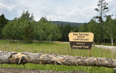 Red Springs Group Campground Reopens After Restoration