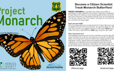 Become A Local Citizen Scientist To Track Monarch Butterflies