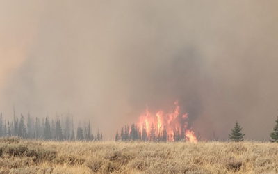 Evacuations On West Fork Of Duchesne Drainage Due To Yellow Lake Fire