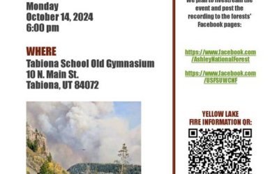 Yellow Lake Fire Community Meeting Tonight In Tabiona