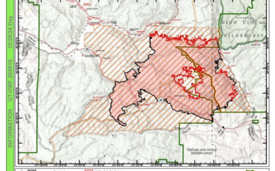 Fire Weakened Trees/Hot Ash Pits Keep Yellow Lake Fire Forest Closures In Effect