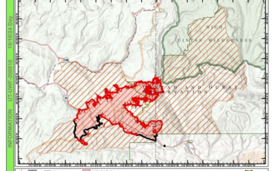 High Temperatures And Wind Fueling Yellow Lake Fire