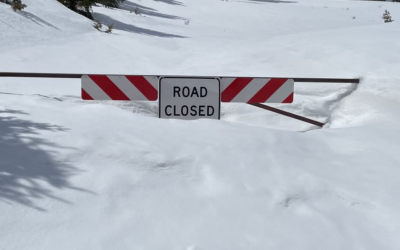 Ashley National Forest: Gates On Vernal Ranger District Closed