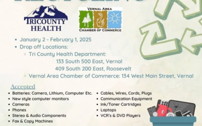 Electronics Recycling Offered, Starting January 2nd