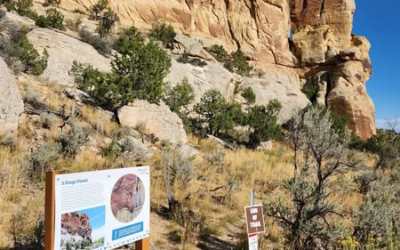 McConkie Ranch Utilizes Grant Funding To Protect Rock Imagery