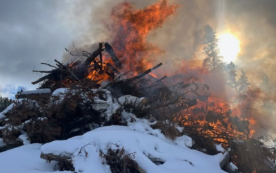 Ashley National Forest Personnel Burn Slash Piles In Greens Draw Area